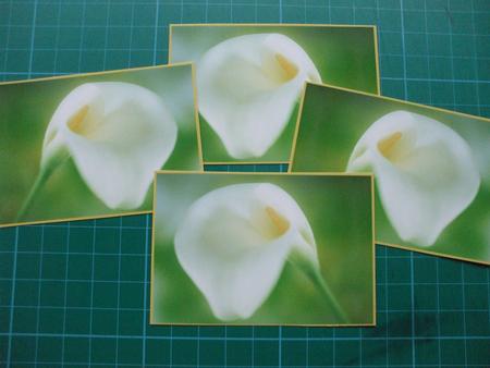 4 Beautiful Calla Lily Toppers by Sharon Scott