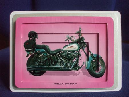 Harley Davidson Tunnel Topper by Sharon Scott