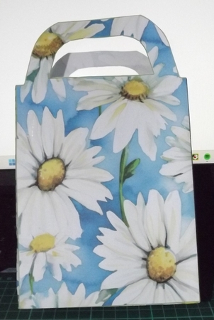 Daisies gift bag 1 by Sharon Stinson