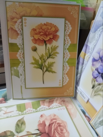 Birth Month Flowers 5x7 inch Mini Kits by Sharon Stinson
