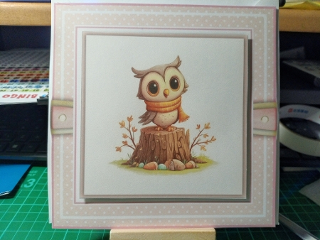 Cute Little Creatures by Sharon Stinson