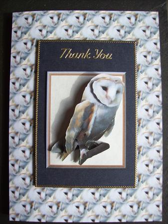 Barn Owl 3D Decoupage with Background by Sharon Davies