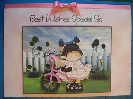 My New Pink Bicycle by Sharon Davies
