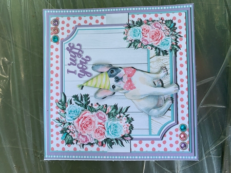 Birthday Woof 3  by sharon Medeiros