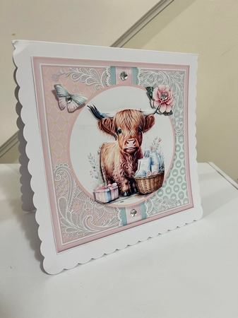 New Baby three  by sharon Medeiros