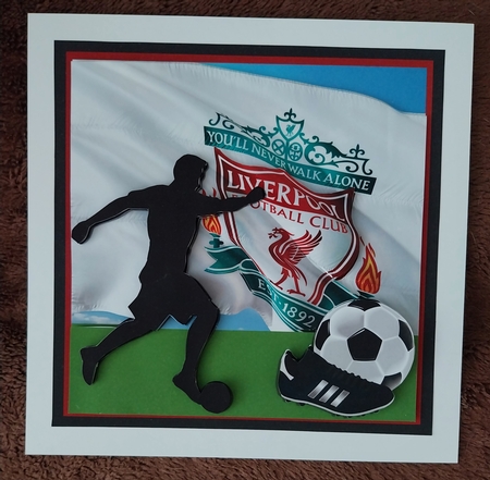 LIVERPOOL FC QUICK CARD by Sharron Hylton