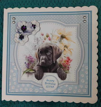 LABRADOR PUPS by Sharron Hylton