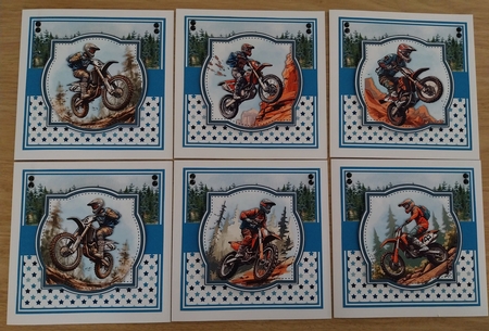 DIRT BIKES by Sharron Hylton