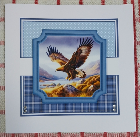 WILD SCOTLAND by Sharron Hylton