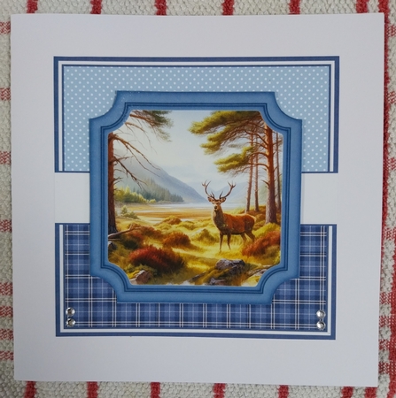 WILD SCOTLAND by Sharron Hylton