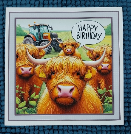 just highland coos by Sharron Hylton