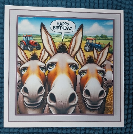 just donkeys by Sharron Hylton