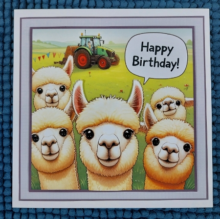 just alpacas by Sharron Hylton
