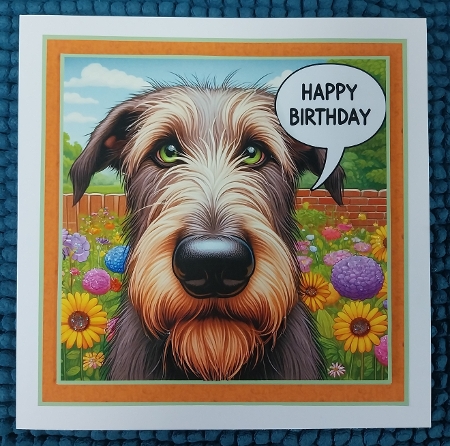 just irish wolf hound by Sharron Hylton