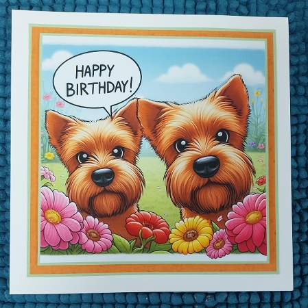 just norfolk terriers by Sharron Hylton