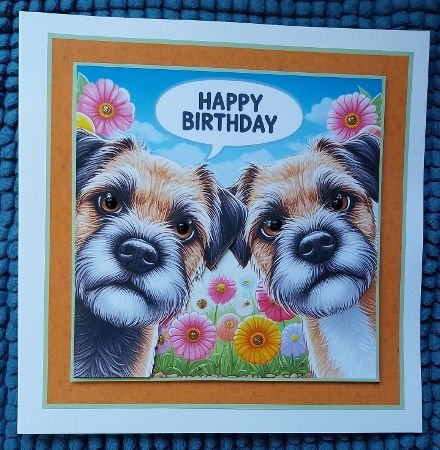 just border terriers by Sharron Hylton
