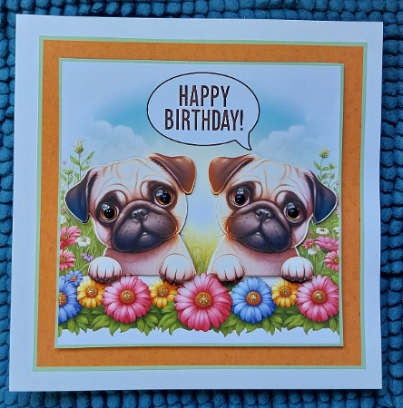 just pugs by Sharron Hylton
