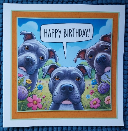 just blue staffies by Sharron Hylton