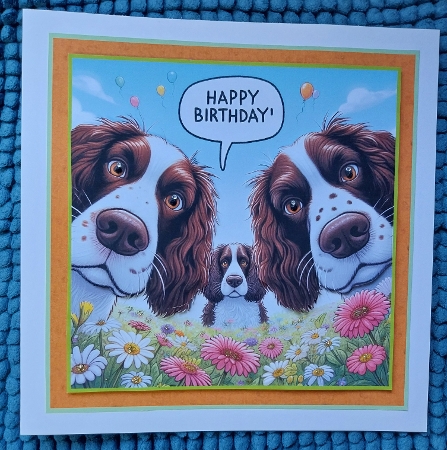 just springer spaniels by Sharron Hylton