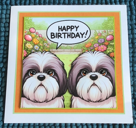 just  Shih tzu by Sharron Hylton