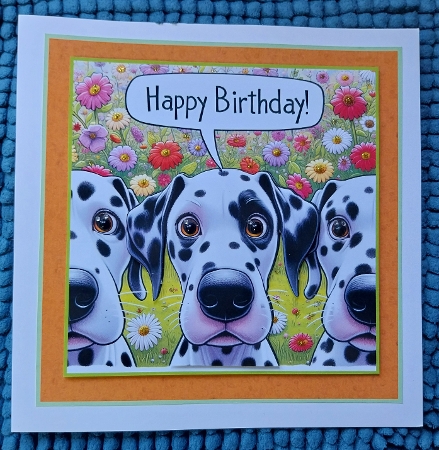 just  Dalmations by Sharron Hylton