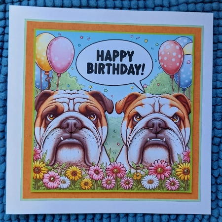 just  British bulldogs by Sharron Hylton