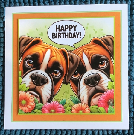 just  Boxers by Sharron Hylton