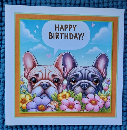 just  french bulldogs by Sharron Hylton