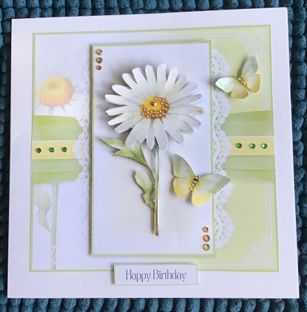 April Daisy Birthday by Sharron Hylton