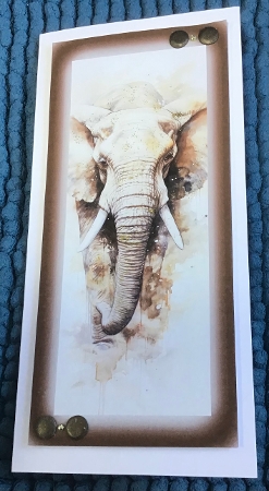 Wild Animals DL Toppers & Bookmarks x 9  by Sharron Hylton
