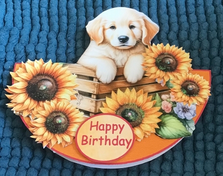 Wobble Card Mini Kit for lots of occasions-Sunflower Puppy #4 by Sharron Hylton