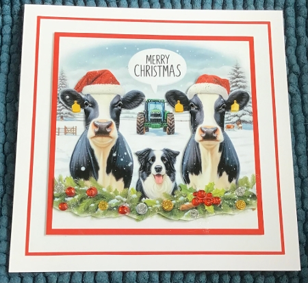 cows in snow as requested by Sharron Hylton