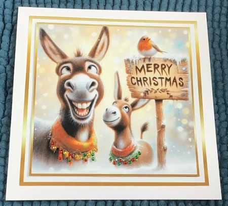 donkeys1 christmas by Sharron Hylton