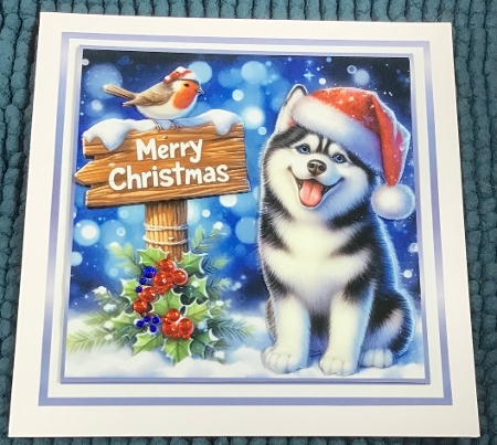 blue christmas husky by Sharron Hylton