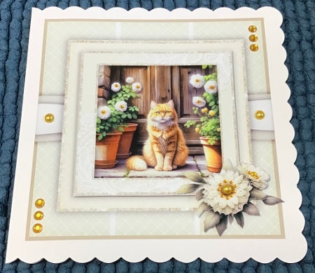 Doorstep Kitties by Sharron Hylton