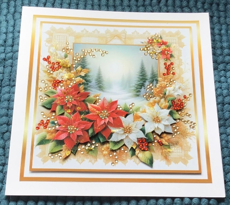 poinsettia view by Sharron Hylton