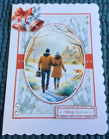 Snowdrop Walk With Set Of 4 Toppers by Sharron Hylton
