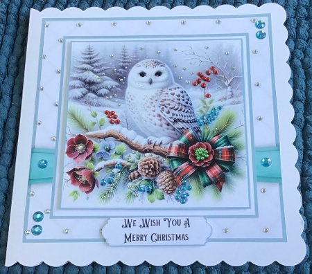 Christmas Snowy Owls by Sharron Hylton