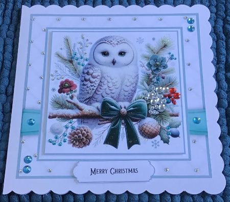 Christmas Snowy Owls by Sharron Hylton