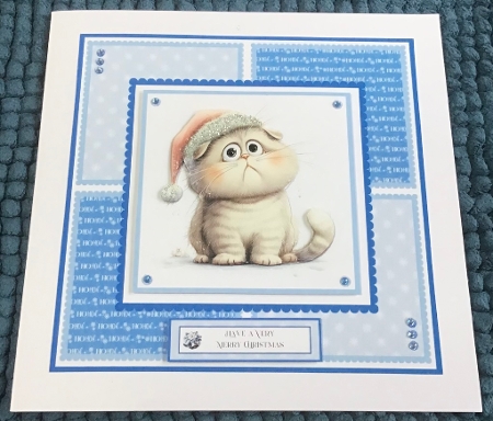 Cute and Funny Christmas Cats by Sharron Hylton