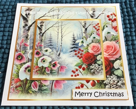 floral christmas splendour 2 by Sharron Hylton