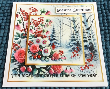 floral christmas splendour 3 by Sharron Hylton