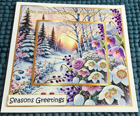 floral christmas splendour 7 by Sharron Hylton