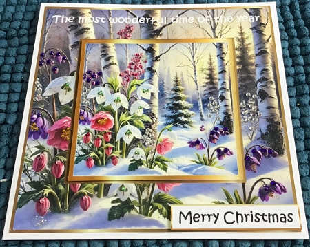 floral christmas splendour 8 by Sharron Hylton