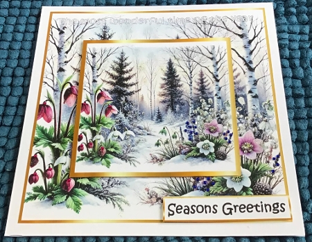 floral christmas splendour 10 by Sharron Hylton