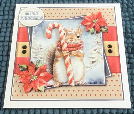 Christmas Squirrel 6 by Sharron Hylton