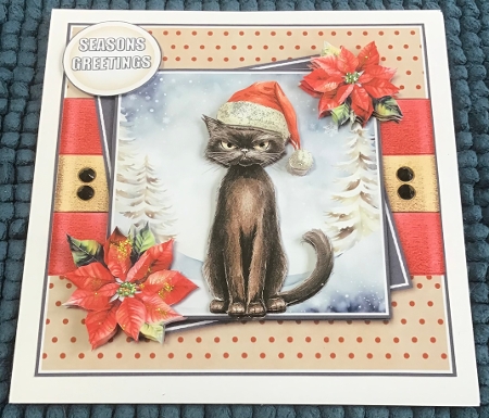 Christmas cat  by Sharron Hylton