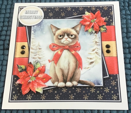 Jolly Christmas cat 1  by Sharron Hylton
