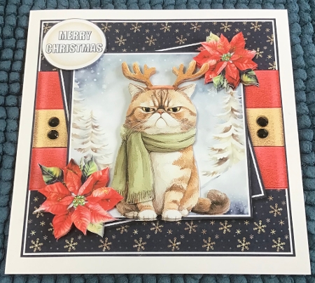 Jolly Christmas cat 2 by Sharron Hylton