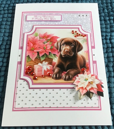 POINSETTIA PUPS by Sharron Hylton